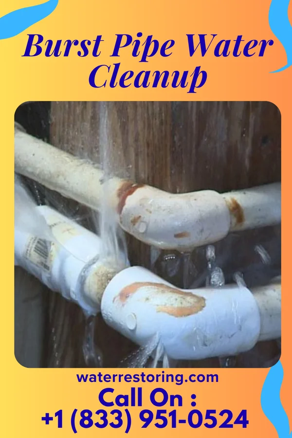 Burst Pipe Water Cleanup in Dresden, KS