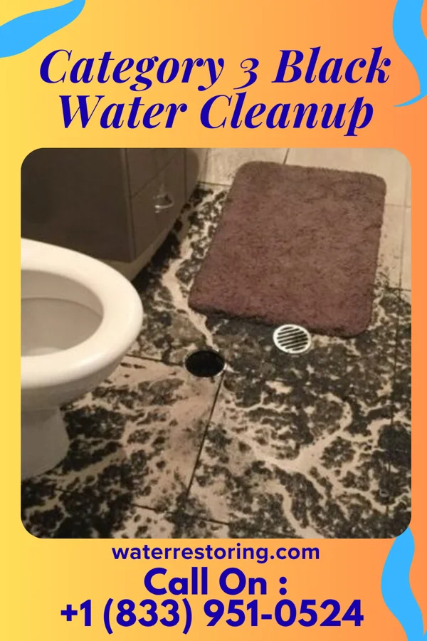 Category 3 Black Water Cleanup in Dresden, KS