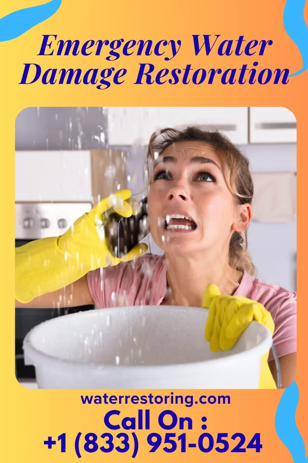 Emergency Water Damage Restoration in Dresden, KS