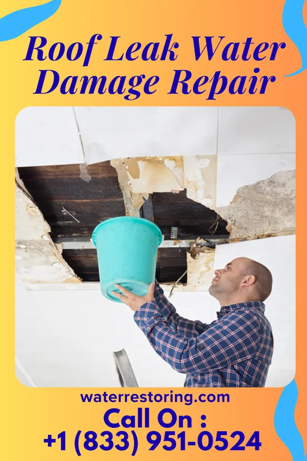 Roof Leak Water Damage Repair in Dresden, KS