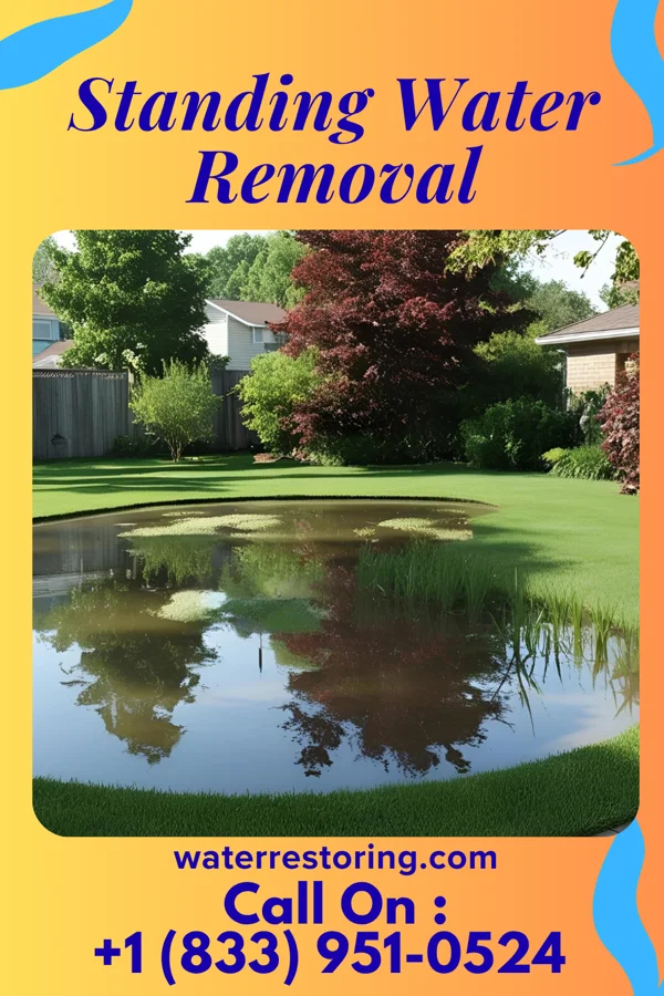 Standing Water Removal in Dresden, KS